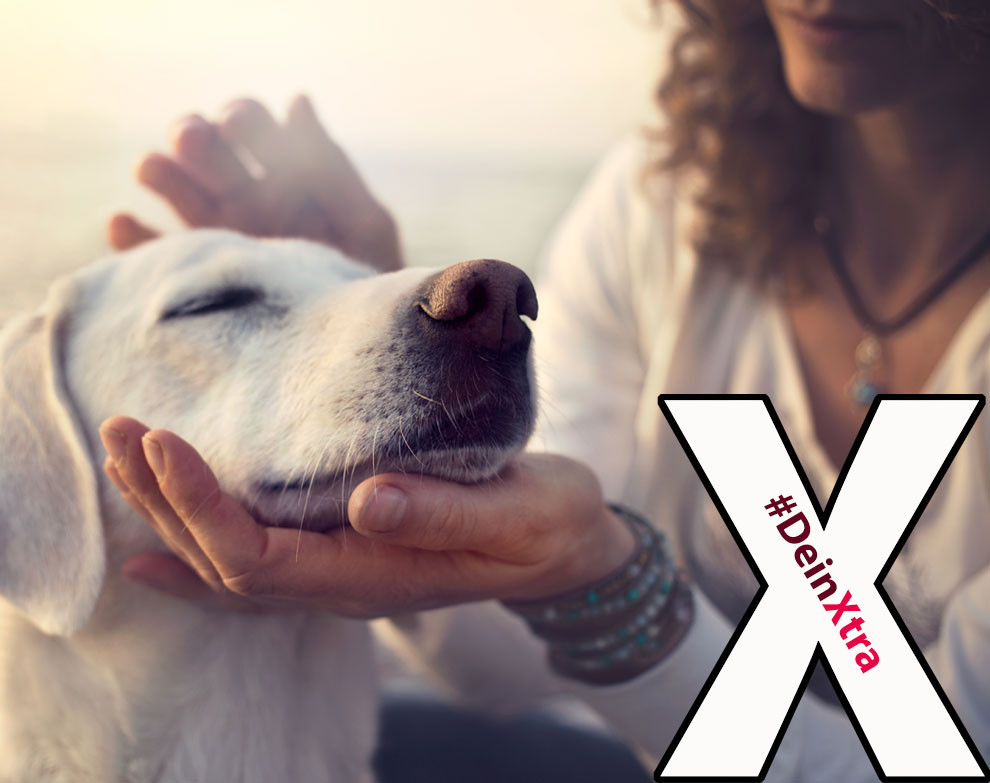 #DeinXtra © AdobeStock: Cristina Conti